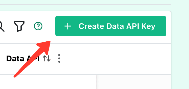 New API Key Button